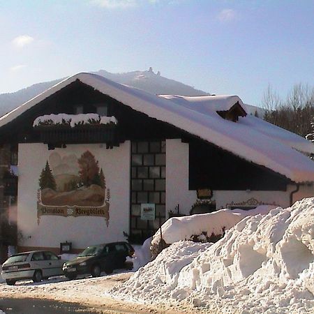 Pension Bergblick Bayerisch Eisenstein Eksteriør billede