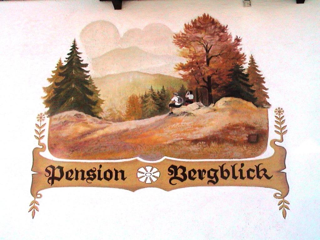 Pension Bergblick Bayerisch Eisenstein Eksteriør billede